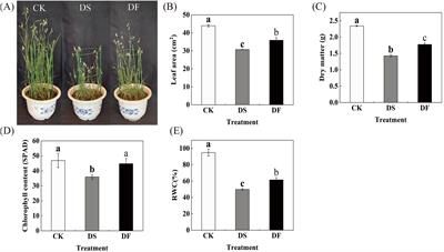 Integrative transcriptome and metabolome analysis reveals the mechanism of fulvic acid alleviating drought stress in oat